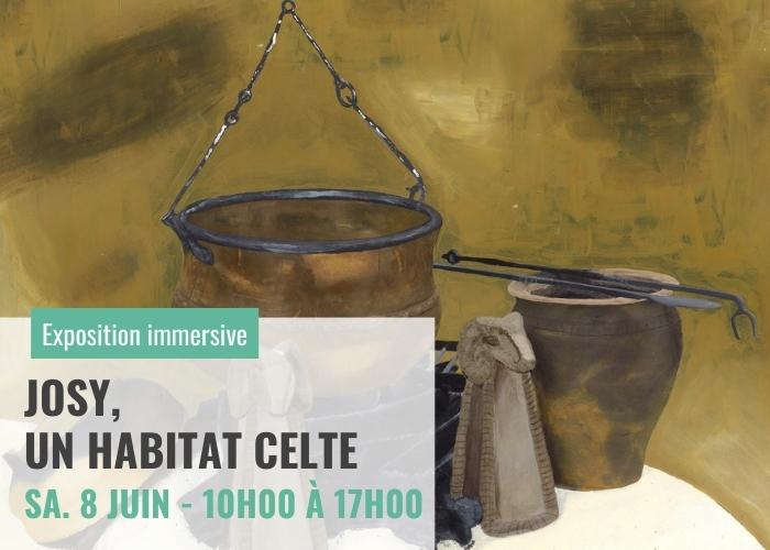 Exposition immersive Josy un habitat celte