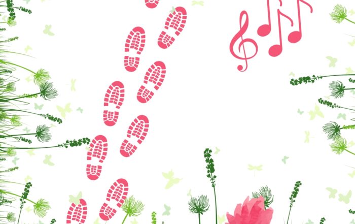 Festival des balades et concert